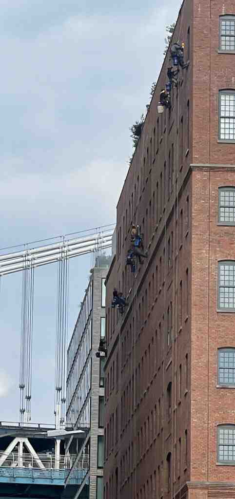 rope access cleaning